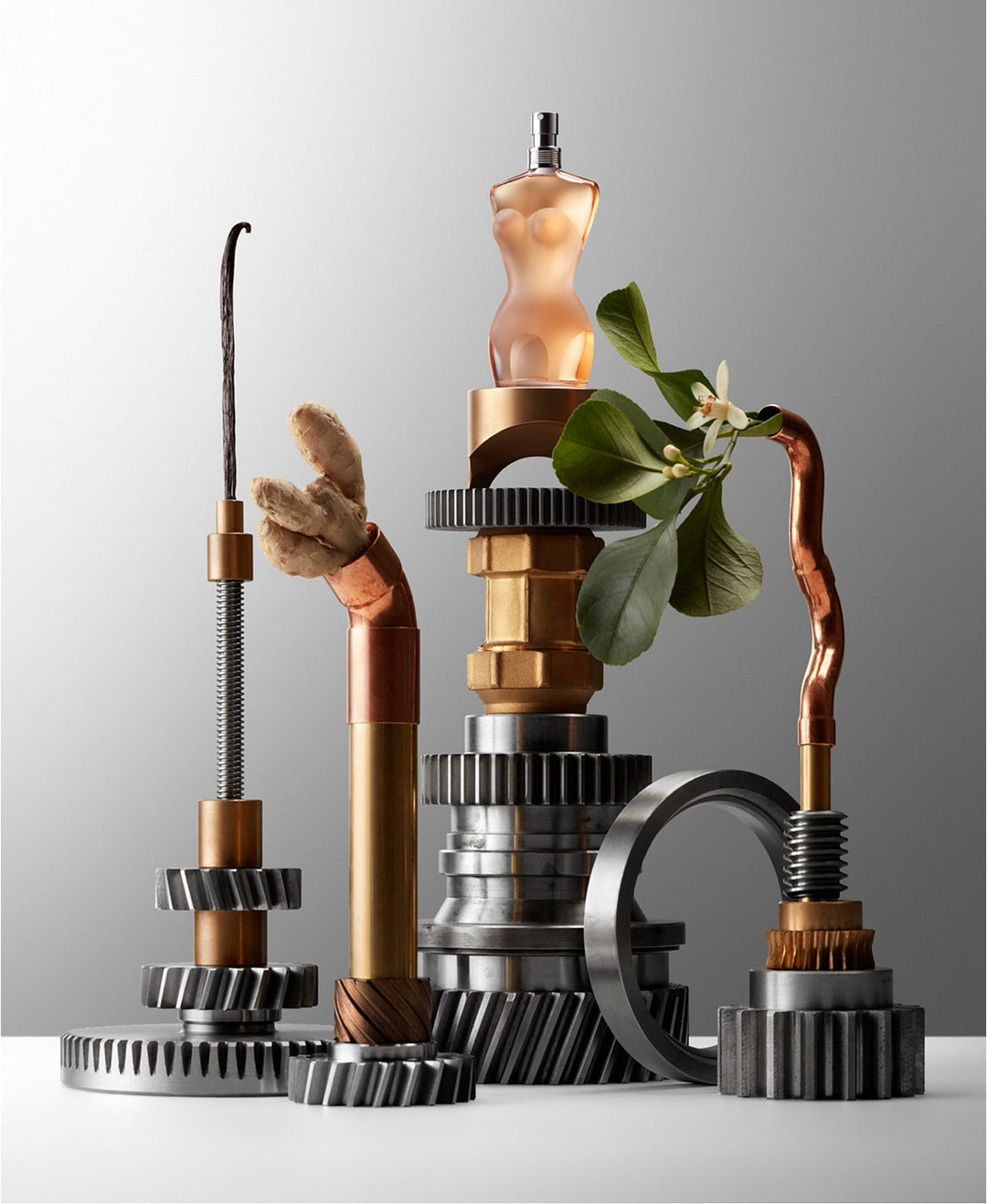 CLASSIQUE BY JEAN PAUL GAULTIER EAU DE TOILETTE LADIES – V.I.P.